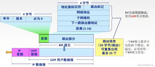 學(xué)習(xí)筆記 第四章 網(wǎng)絡(luò)層 七千字詳細(xì)配圖